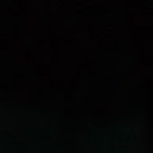 Meet your Posher, Lila